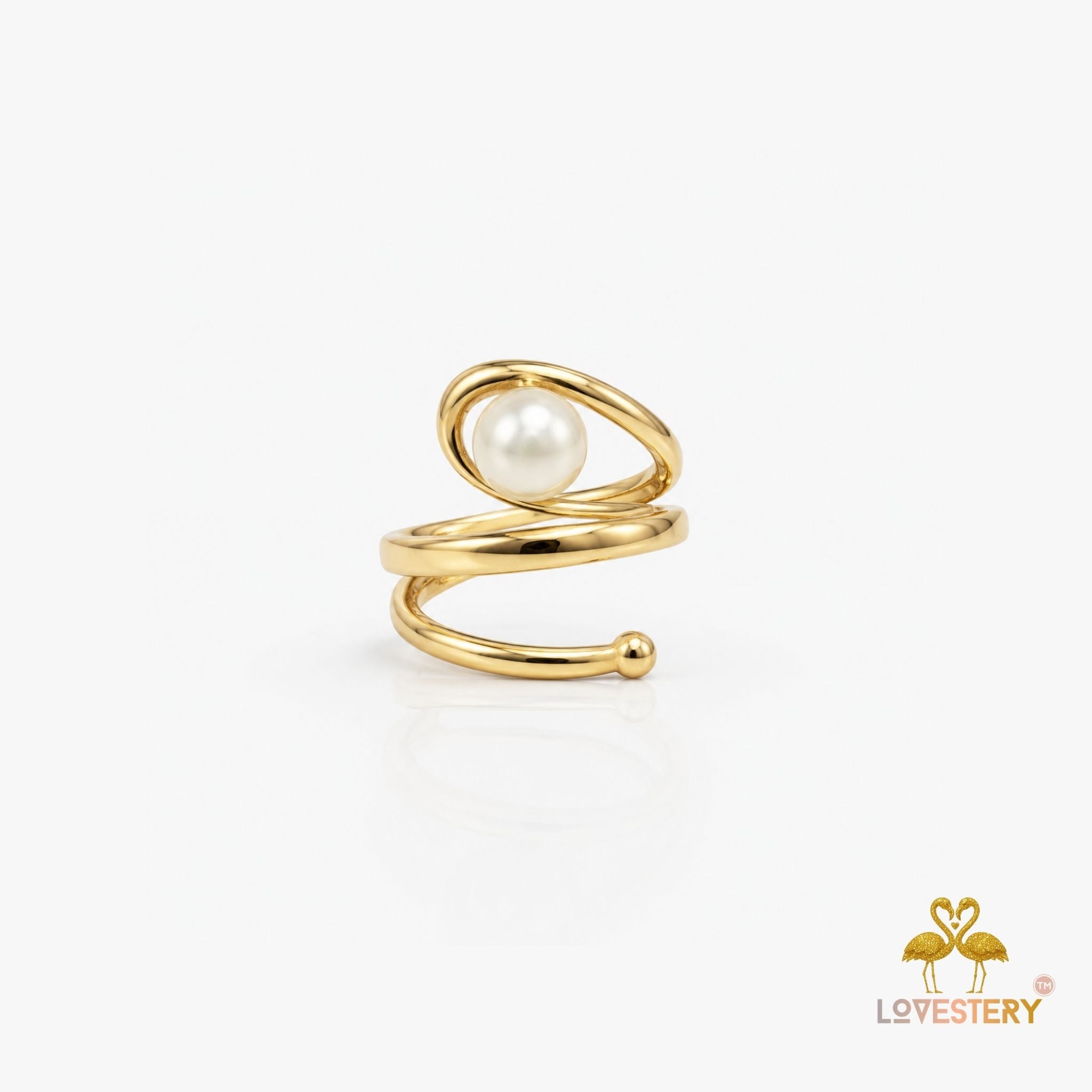 SHOPYSTERY
