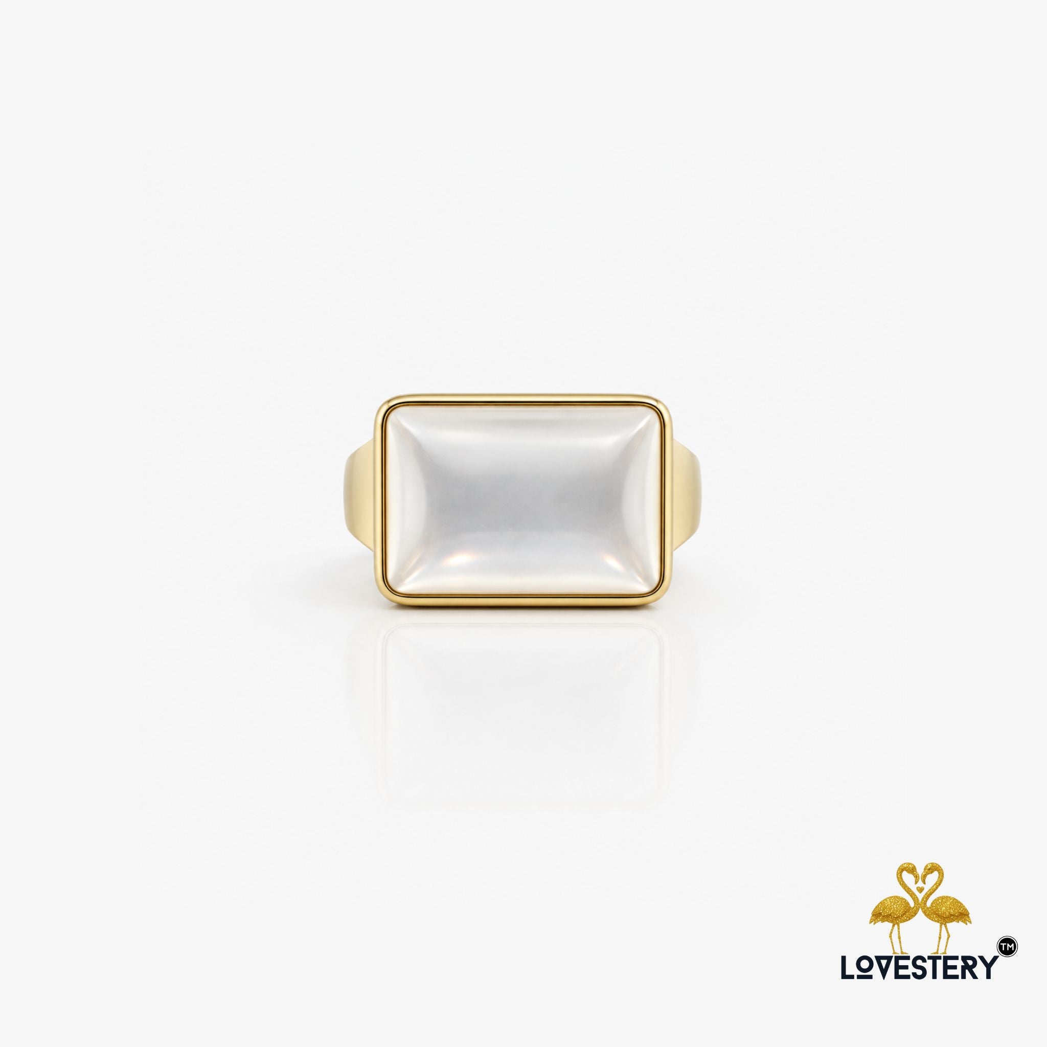 SHOPYSTERY