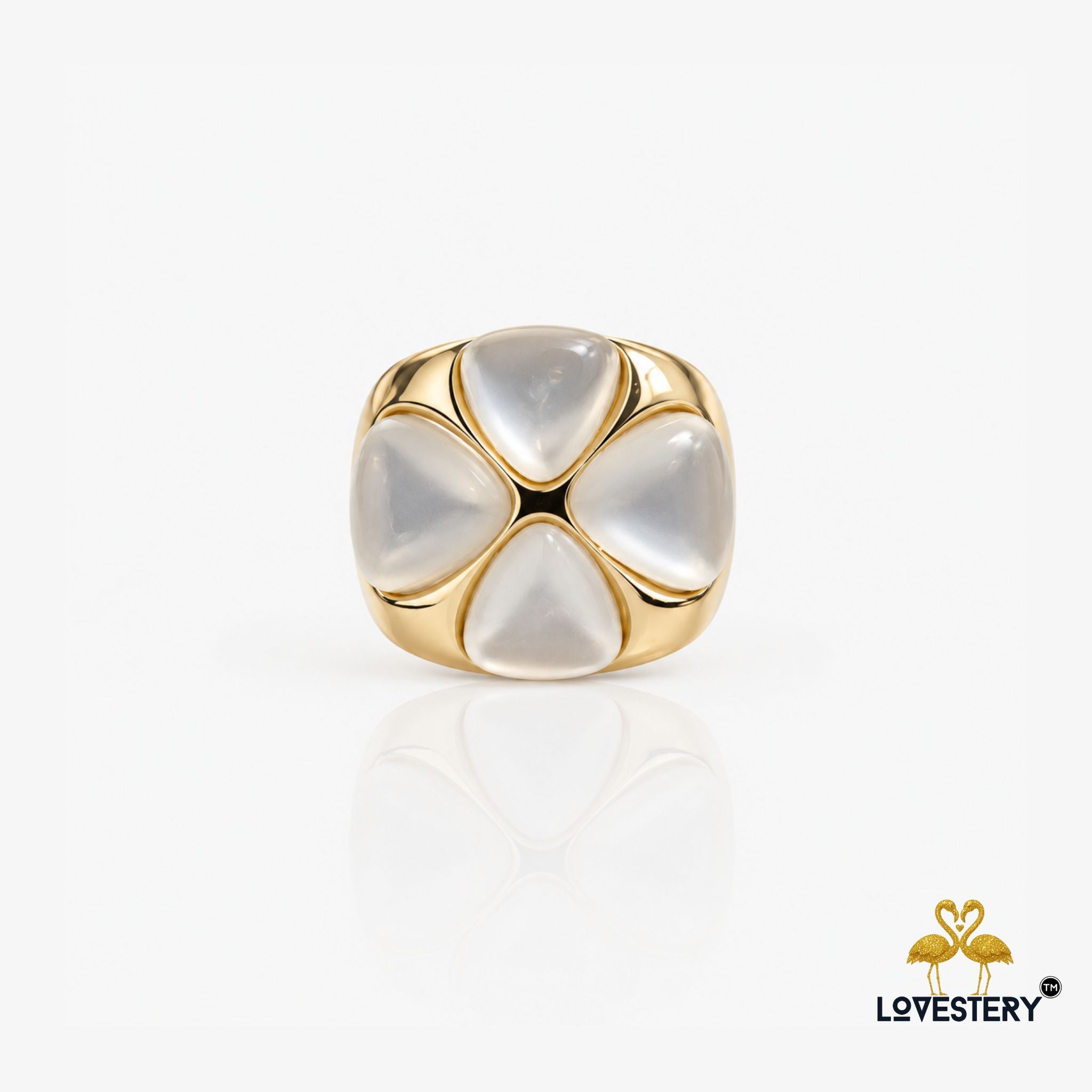SHOPYSTERY